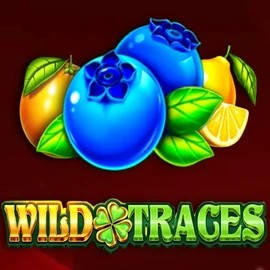 Wild Traces by Amusnet Interactive, showcased at casombies.eu – game logo